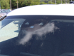 Mercedes-Benz GLC 220 d  2,0 D